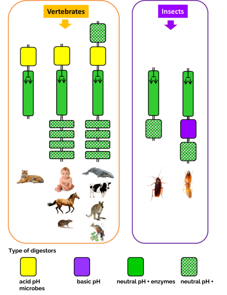 Biomim_image3_2025